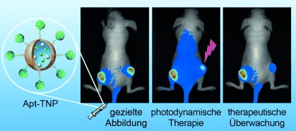 A Multifunctional Nanomicelle for Real-Time Targeted Imaging and Precise Near-Infrared Cancer Therapy
