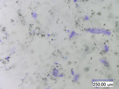Analysis of Hydrocolloids in Crystalline Material