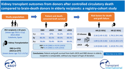 Kidney transplant outcomes in elderly recipients with controlled donation after circulatory death or donation after brain death donors: a registry cohort study