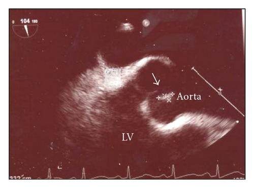 Details are in the caption following the image Details are in the caption following the image