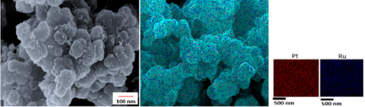 The potential of novel carbon nanocages as a carbon support for an enhanced methanol electro-oxidation reaction in a direct methanol fuel cell