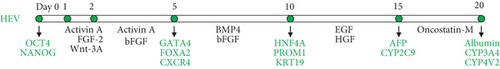 Details are in the caption following the image