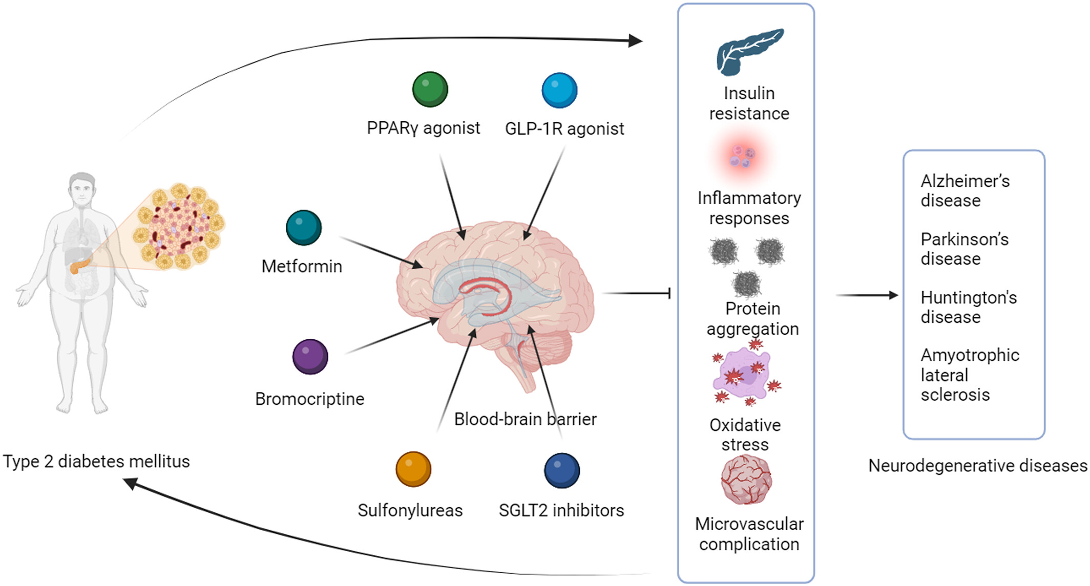 Prospects of antidiabetic drugs in the treatment of neurodegenerative disease