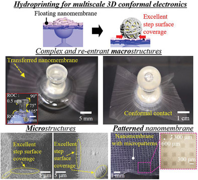 Hydroprinting Technology to Transfer Ultrathin, Transparent, and Double-Sided Conductive Nanomembranes for Multiscale 3D Conformal Electronics