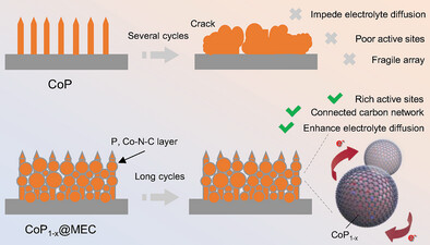 Vacancies-Induced Delocalized States Cobalt Phosphide for Binder-Free Anode Toward Stable and High-Rate Sodium-Ion Batteries