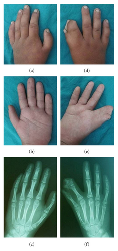 Details are in the caption following the image Details are in the caption following the image