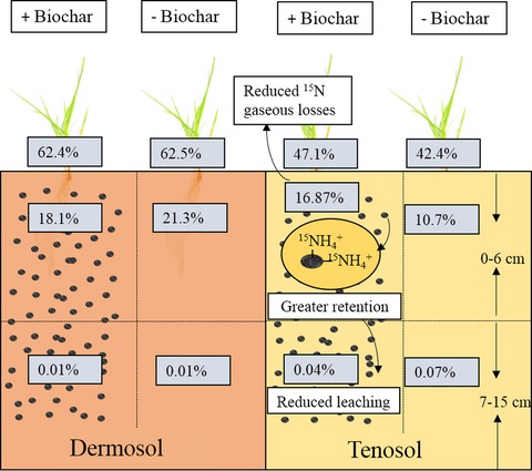 Aged biochar affects gross nitrogen mineralization and recovery: a 15N study in two contrasting soils