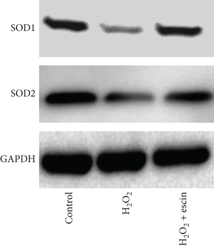 Details are in the caption following the image
