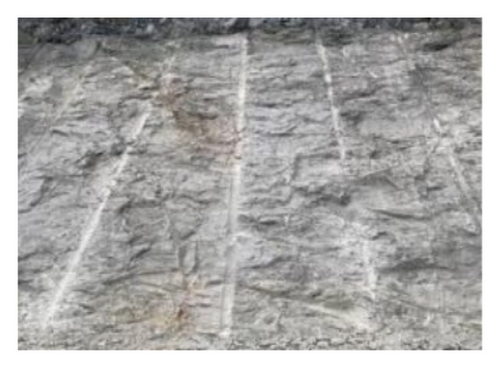 Details are in the caption following the image Details are in the caption following the image