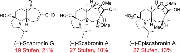 Total Syntheses of (−)-Scabronines G and A, and (−)-Episcabronine A