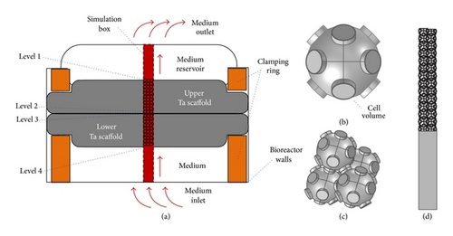 Details are in the caption following the image Details are in the caption following the image