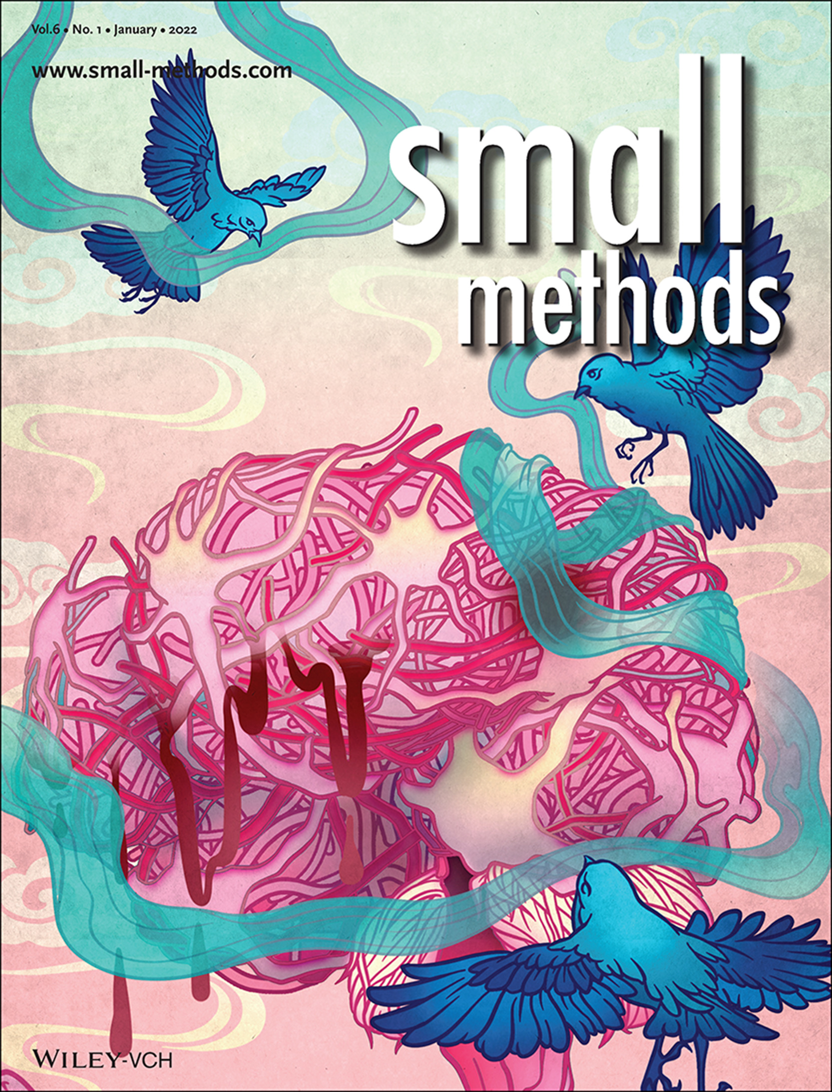 Engineering CXCL12 Biomimetic Decoy-Integrated Versatile Immunosuppressive Nanoparticle for Ischemic Stroke Therapy with Management of Overactivated Brain Immune Microenvironment (Small Methods 1/2022) Volume 6 Issue 1, 2022