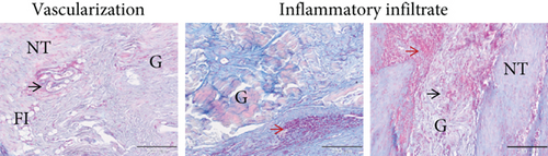 Details are in the caption following the image Details are in the caption following the image