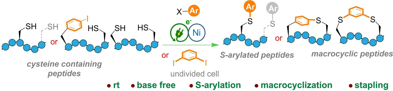 Electrochemical Nickel-Catalyzed Selective Inter- and Intramolecular Arylations of Cysteine-Containing Peptides**