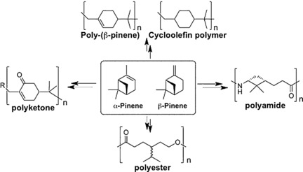 Pinenes: Abundant and Renewable Building Blocks for a Variety of Sustainable Polymers