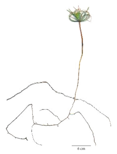 Details are in the caption following the image
