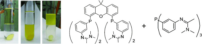 Cooperative Ligand Effects in Phase-Switching Homogeneous Catalysts