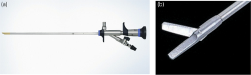 Details are in the caption following the image Details are in the caption following the image