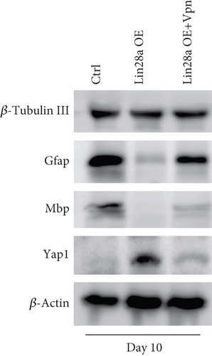 Details are in the caption following the image