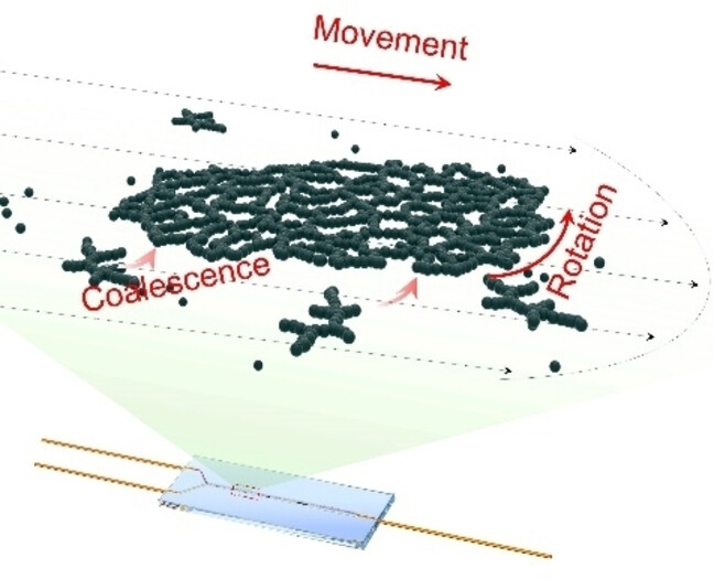 Ultra-Large Two-Dimensional Metal Nanowire Networks by Microfluidic Laminar Flow Synthesis for Formic Acid Electrooxidation