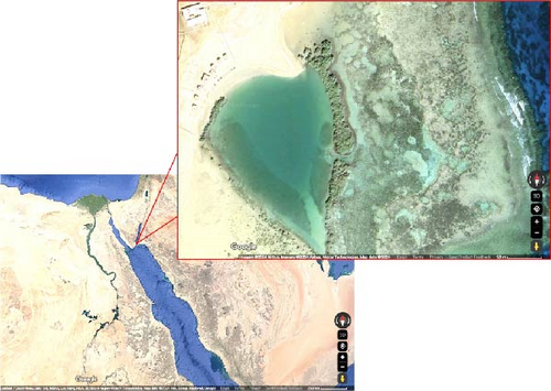 Details are in the caption following the image Details are in the caption following the image
