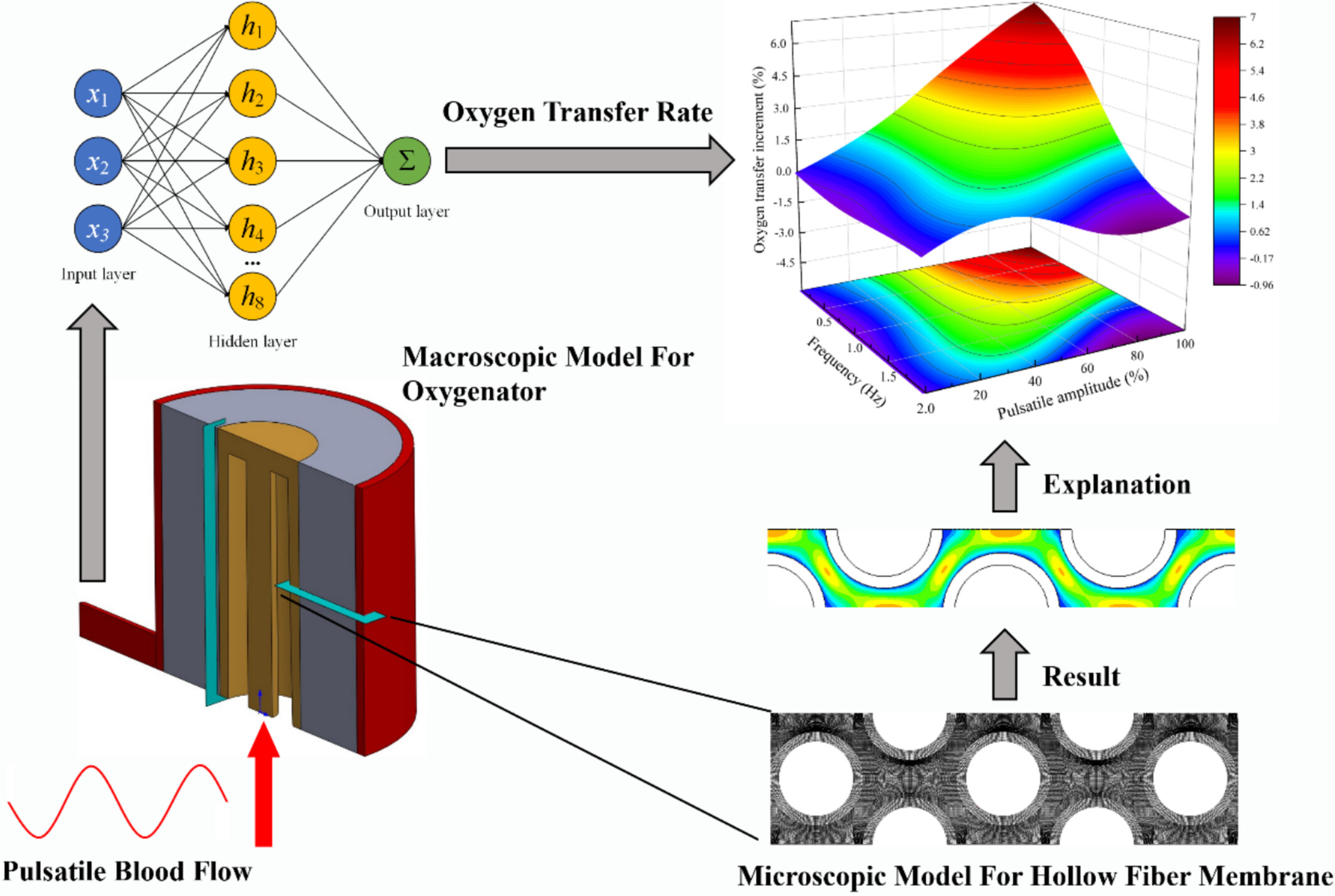 Effect of Pulsatile Blood Flow Parameters on Membrane Oxygenator Performance: A Cross-Scale Simulation Study Issue 7, 2025