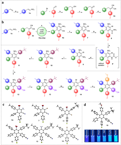 Details are in the caption following the image Details are in the caption following the image