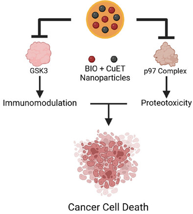 Liposome-Polymer Nanoparticles Loaded with Copper Diethyldithiocarbamate and 6-Bromo-Indirubin-3′-Oxime Enable the Treatment of Refractive Melanoma