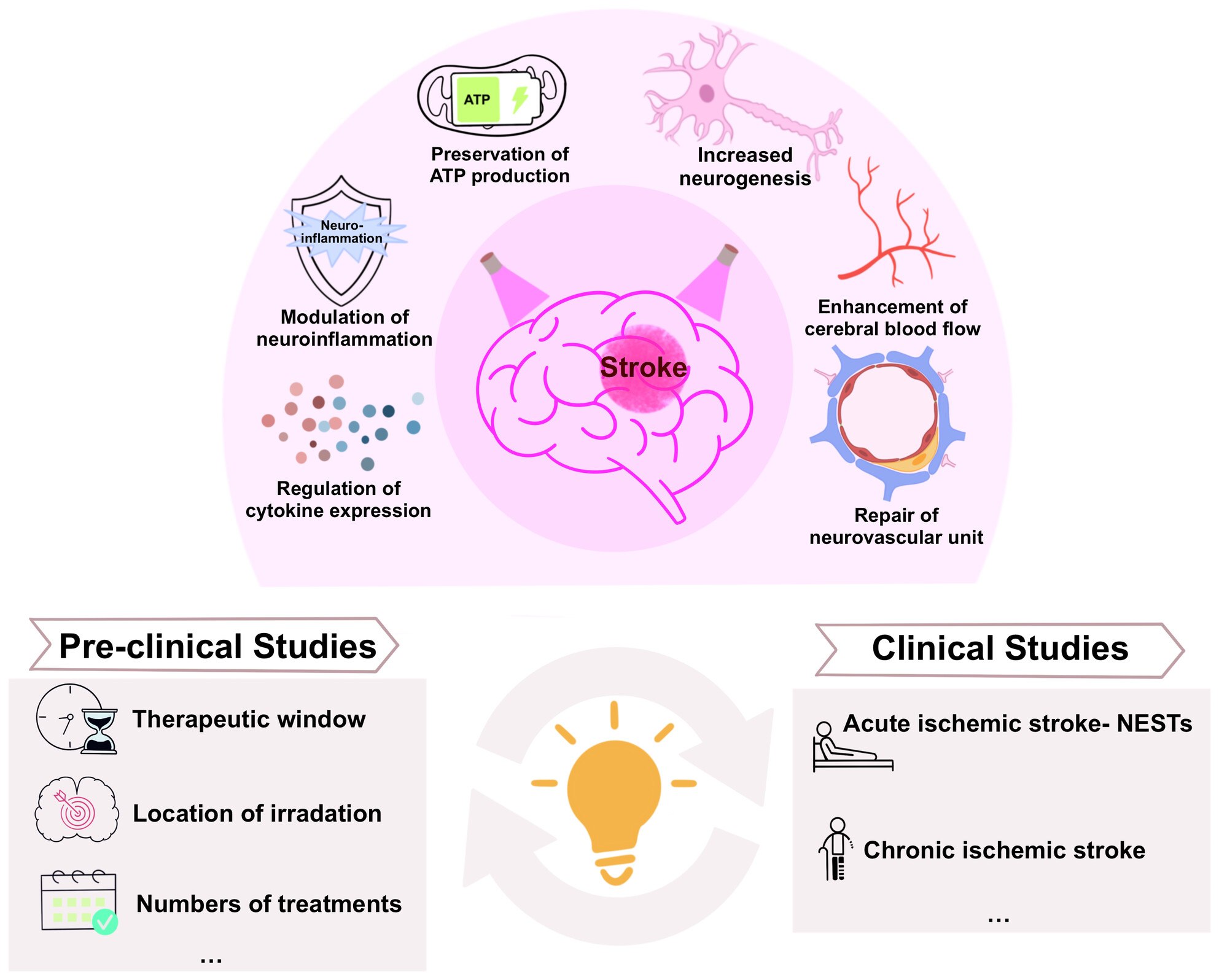Potential and Challenges of Transcranial Photobiomodulation for the Treatment of Stroke