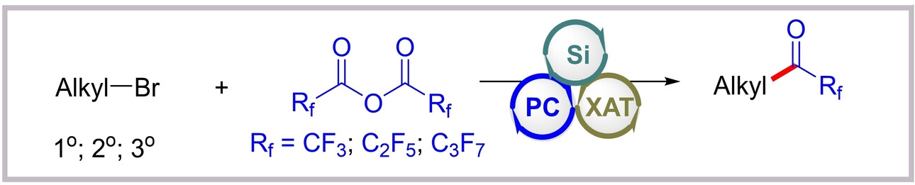 Access to Trifluoromethylketones from Alkyl Bromides and Trifluoroacetic Anhydride by Photocatalysis
