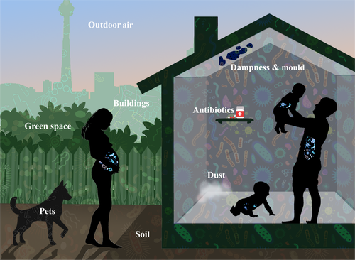 Details are in the caption following the image Details are in the caption following the image