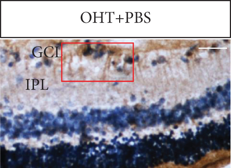 Details are in the caption following the image