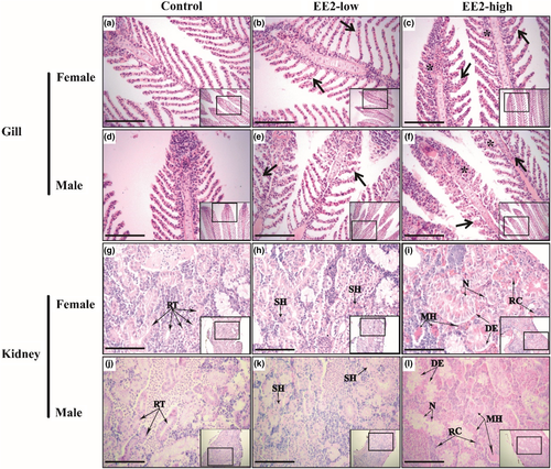 Details are in the caption following the image Details are in the caption following the image