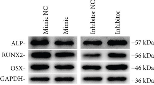 Details are in the caption following the image