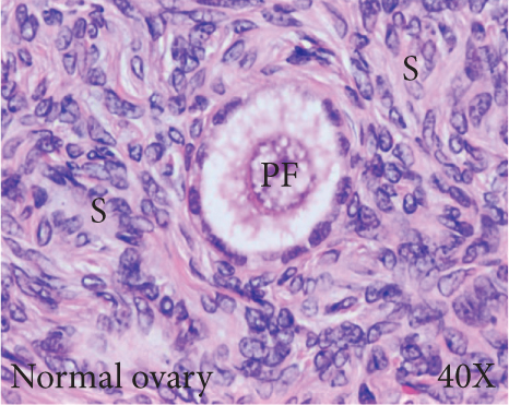 Details are in the caption following the image