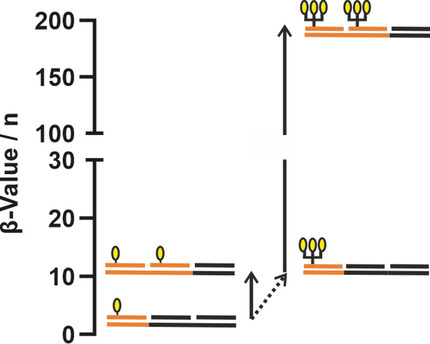 Rational Design of a DNA-Scaffolded High-Affinity Binder for Langerin
