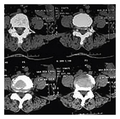 Details are in the caption following the image Details are in the caption following the image