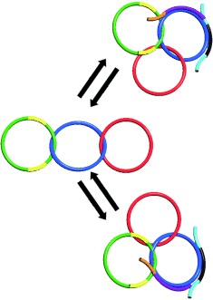 Programmed Dynamic Topologies in DNA Catenanes