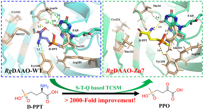 Hydrophilicity-Based Engineering of the Active Pocket of D-Amino Acid Oxidase Leading to Highly Improved Specificity toward D-Glufosinate