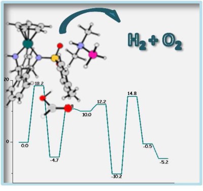 Computation modeling as a tool for the exploration of complex multistep reaction cycles in homogeneous catalysis. Some selected examples in the framework of the use of hydrogen as a fuel of the future