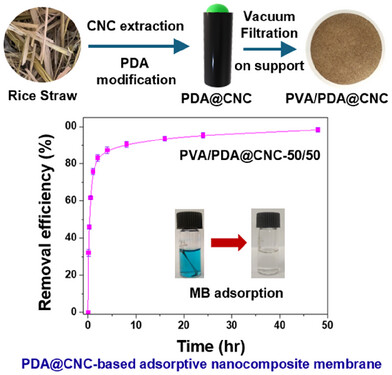 Efficient Removal of Cationic Dye Using Rice Straw-Derived Cellulose Nanocrystal-Based Adsorptive Nanocomposite Membranes