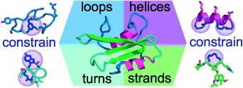 Constraining Cyclic Peptides To Mimic Protein Structure Motifs