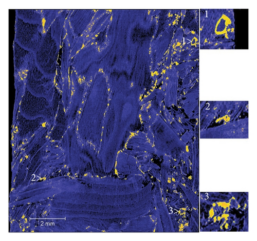 Details are in the caption following the image Details are in the caption following the image