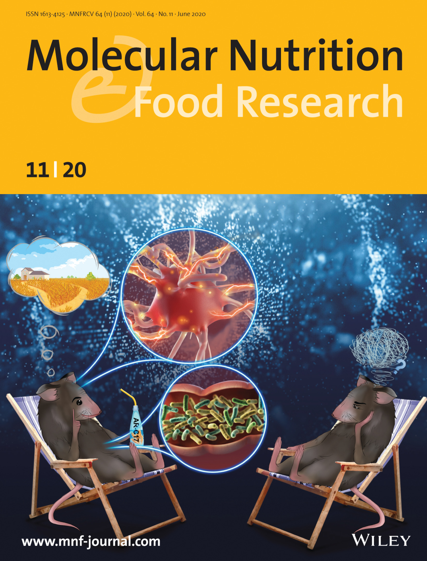Front Cover: 5-Heptadecylresorcinol, a Biomarker for Whole Grain Rye Consumption, Ameliorates Cognitive Impairments and Neuroinflammation in APP/PS1 Transgenic Mice Volume 64 Issue 11, 2020