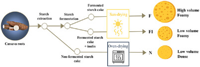 Evaluating the Impact of Inulin Addition before Solar Drying on the Characteristics of Sour Cassava Starch as a Food Ingredient
