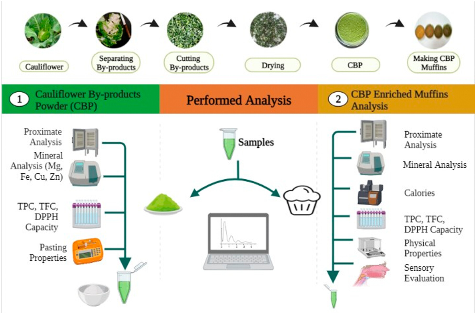 Compositional profiling and sensory analysis of cauliflower by-products-enriched muffins