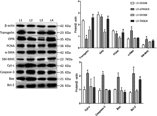 Details are in the caption following the image Details are in the caption following the image
