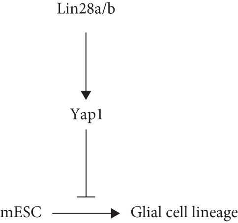 Details are in the caption following the image