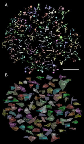 Details are in the caption following the image