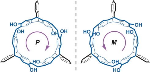 Triptycene-Based Chiral Macrocyclic Hosts for Highly Enantioselective Recognition of Chiral Guests Containing a Trimethylamino Group